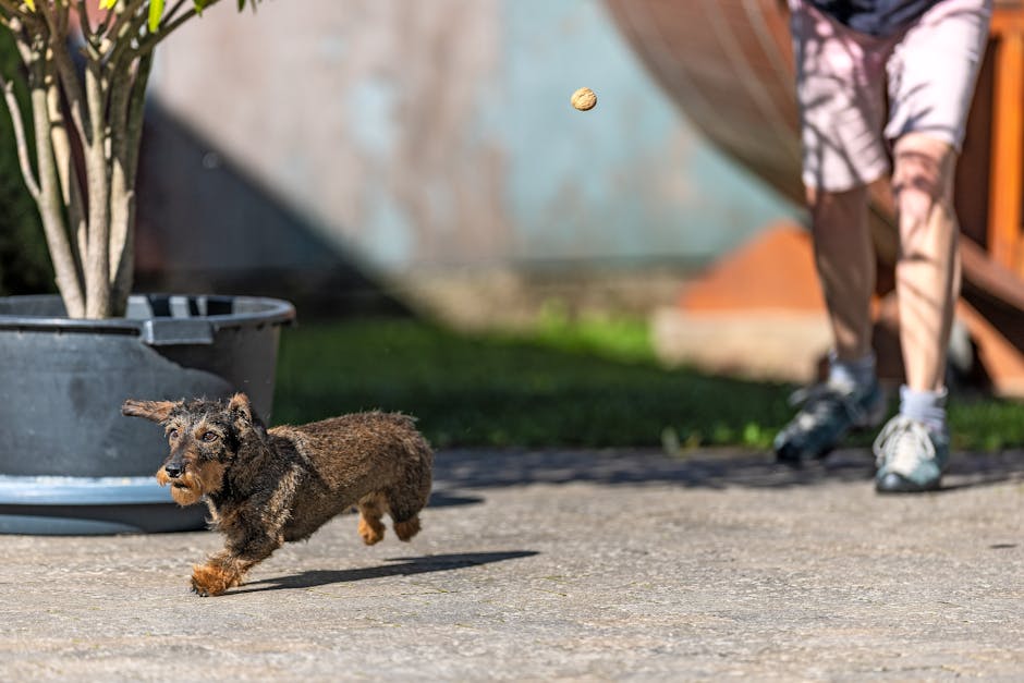 victorprogaming-com_5